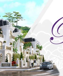 Banner 1600x600